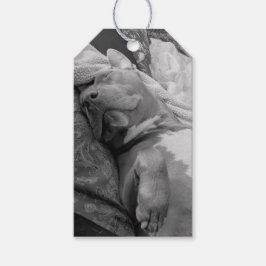 Etiqueta Para Presente Fotografia de Amor Pit Bull