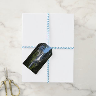 Etiqueta Para Presente Fotografia de Yosemite Falls and Woods