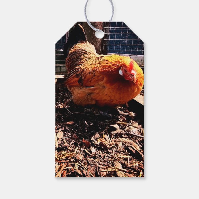 Etiqueta Para Presente Frango laranja (Frente)