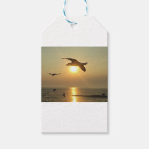 Etiqueta Para Presente Gaivota no por do sol