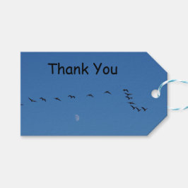 Etiqueta Para Presente Gansos canadenses em voo