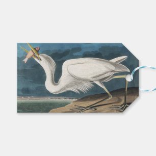 Etiqueta Para Presente Garça Branca Grande de Audubon: Ave Costeira Vinta