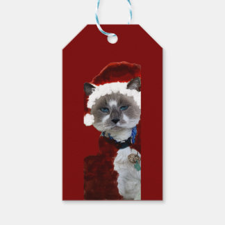 Etiqueta Para Presente Gata Santa Claws Natal Maureen Girard Olho Azul