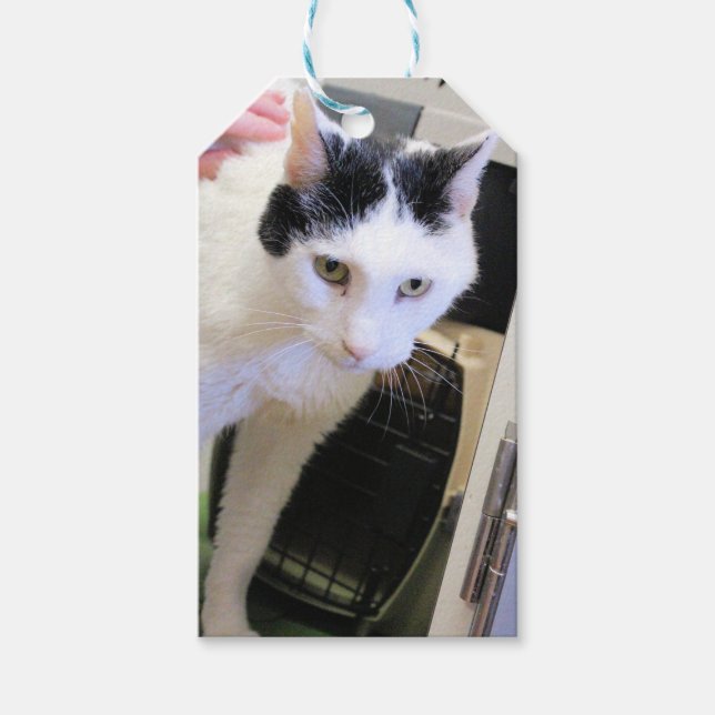 Etiqueta Para Presente Gato (Frente)