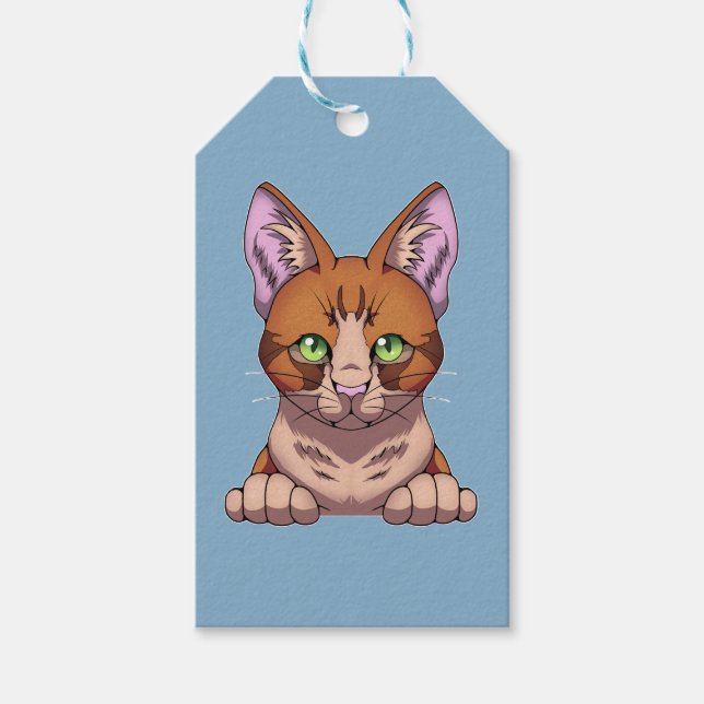 Etiqueta Para Presente Gato Cinto (Frente)