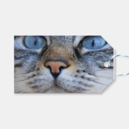 Etiqueta Para Presente Gato de cinza