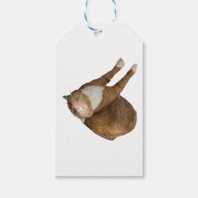 Etiqueta Para Presente Gato de Sol de Cabeça para Baixo (Frente)