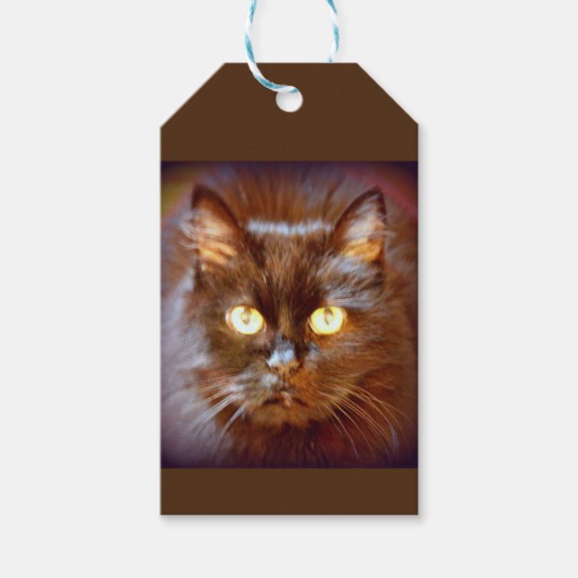 Etiqueta Para Presente gato preto (Frente)