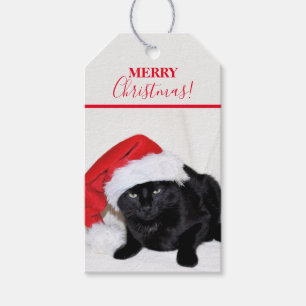Etiqueta Para Presente Gato preto bonito com chapéu de Papai Noel