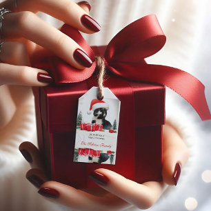 Etiqueta Para Presente Gato Sarcástico Engraçado Santas Dicas de Natal