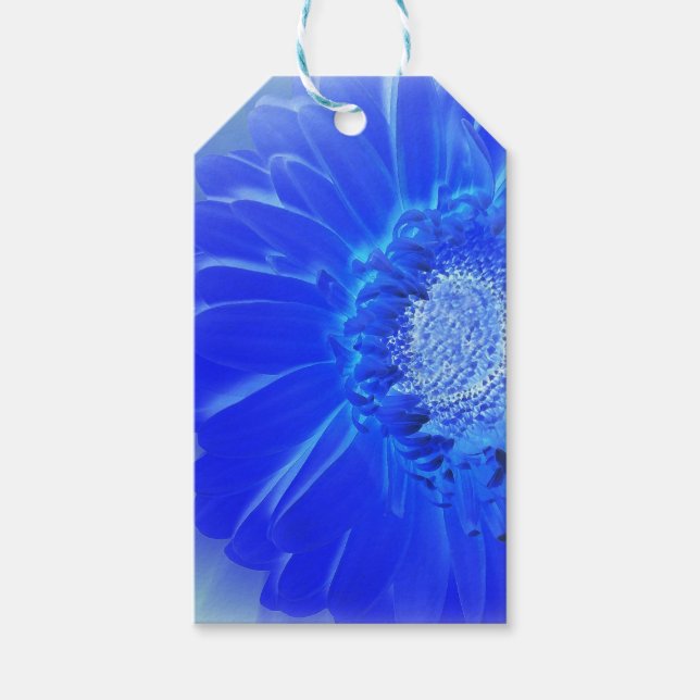 Etiqueta Para Presente gerbera azul-elétrica (Frente)