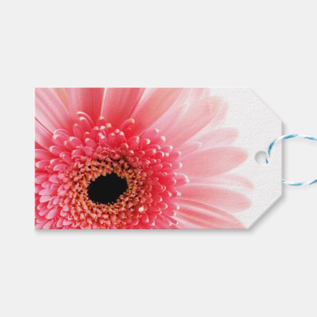 Etiqueta Para Presente Gerbera Daisy Poster (Frente (horizontal))