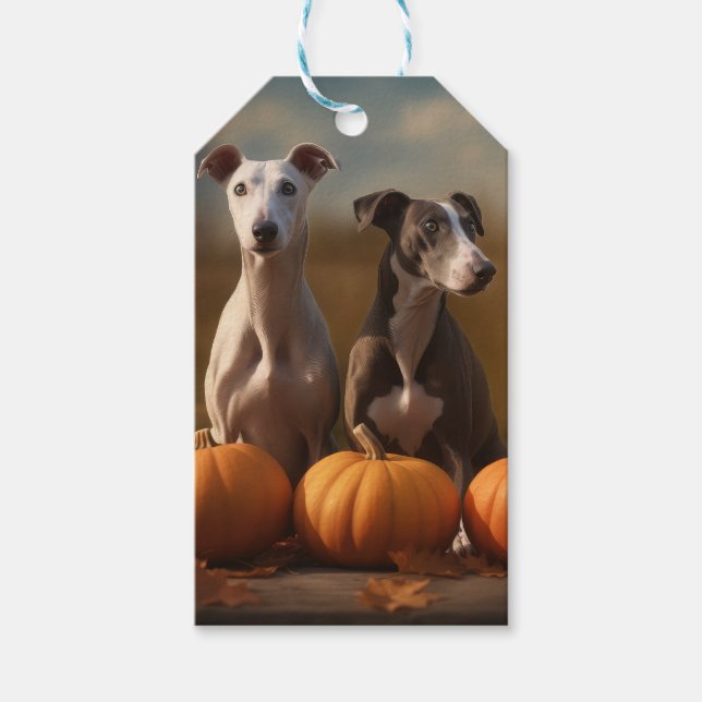 Etiqueta Para Presente Greyhound Puppy Autumn Delight Pumpkin (Frente)