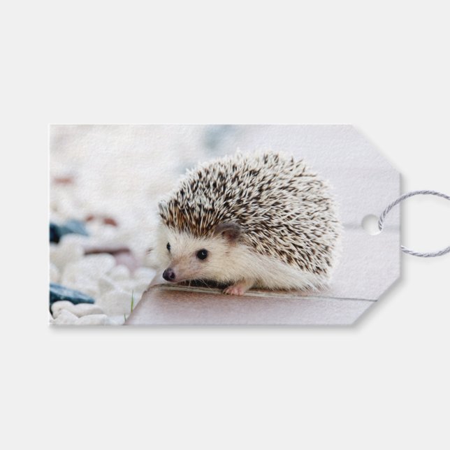 Etiqueta Para Presente Hedgehog Baby (Frente (horizontal))