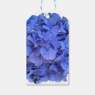 Etiqueta Para Presente Hídrangas florais do periwinkle azul Elegante
