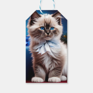 Etiqueta Para Presente Himalaia Kitten Presente arco azul