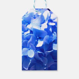 Etiqueta Para Presente Hydrangea dos azuis cobaltos