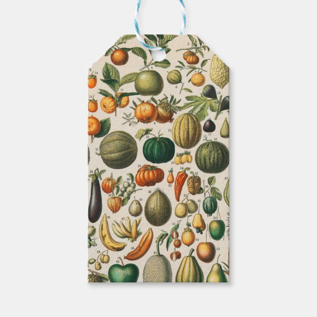 Etiqueta Para Presente Ilustração Científica Botânica Vegetal fruta (Frente)
