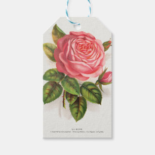 Etiqueta Para Presente Ilustração Floral Rosa Antiga Cottagecore