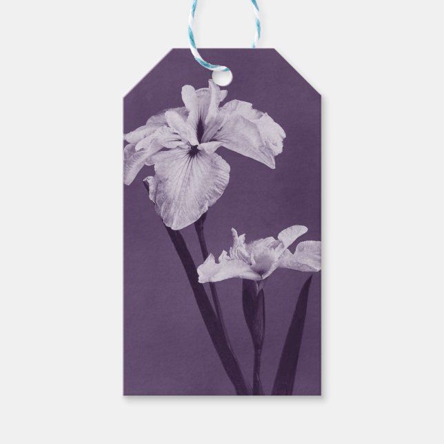 Etiqueta Para Presente Iris Fine Art (Frente)