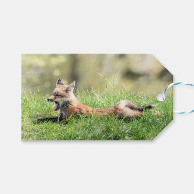 Etiqueta Para Presente Jogo do Fox vermelho (Frente (horizontal))