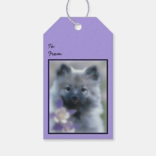 Etiqueta Para Presente Keeshond and Columbine - Dog Photograph
