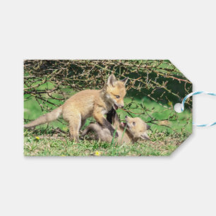 Etiqueta Para Presente Kits de Raposa Vermelha Reproduzindo