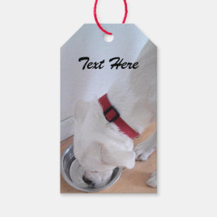 Etiqueta Para Presente Labrador Branco Cachorro Bebendo Água