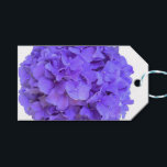 Etiqueta Para Presente Lavanda lilás púrpura Hidrópias Púrpuras Flores<br><div class="desc">Linda elegante e graciosa são as hipóricas roxas lavandas, esta beleza vem dos meus jardins florais de quintal. Faz uma ideia de presente de excelente para aquele entusiasta da flor! Veja outros produtos com esta imagem nas minhas coleções! Se você não vir o que precisa, a imagem é transferível e...</div>