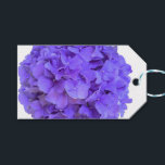 Etiqueta Para Presente Lavanda lilás púrpura Hidrópias Púrpuras Flores<br><div class="desc">Linda elegante e graciosa são as hipóricas roxas lavandas, esta beleza vem dos meus jardins florais de quintal. Faz uma ideia de presente de excelente para aquele entusiasta da flor! Veja outros produtos com esta imagem nas minhas coleções! Se você não vir o que precisa, a imagem é transferível e...</div>