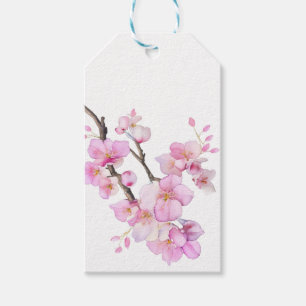 Etiqueta Para Presente Linda cor-de-água rosa cereja Sakura floresce