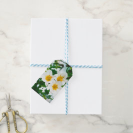 Etiqueta Para Presente Lírios brancos - Lily Flower Lilium candidata