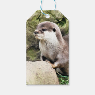 ETIQUETA PARA PRESENTE LONTRA
