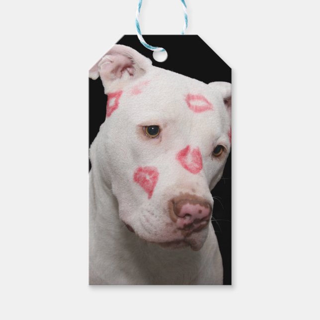 Etiqueta Para Presente Lover Pitbull Editável (Frente)