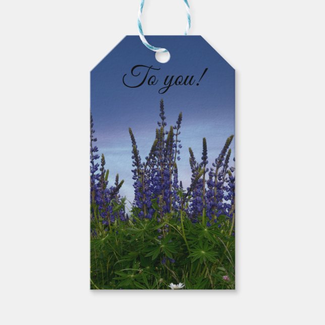 Etiqueta Para Presente Lupinos     (Frente)