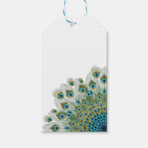 Etiqueta Para Presente Mandala colorida do pavão masculino