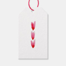 Marcas de Presente de Corações Pintados (Conjunto 