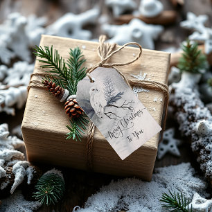 Etiqueta Para Presente Marcas de Presente de Natal da Coruja Doce de Inve