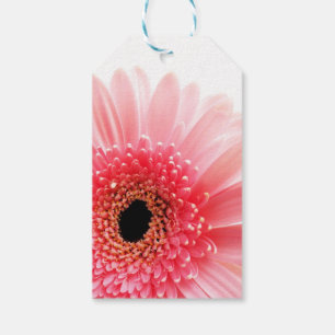 Etiqueta Para Presente Margarida Gerbera