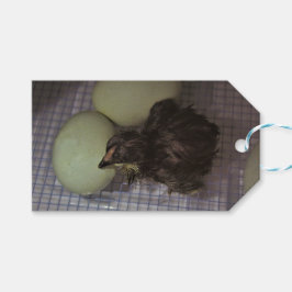 Etiqueta Para Presente Minutos velhos