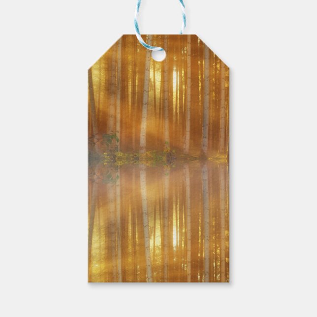 Etiqueta Para Presente Misty Forest Scene (Frente)