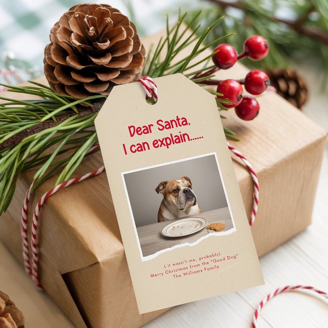 Etiqueta Para Presente Modern Naughty Funny Dog Pet Photo Christmas (Criador carregado)