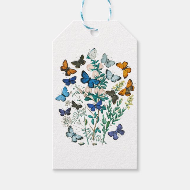 Etiqueta Para Presente Monarch Butterfly - Aesthetic Butterflies (Frente)