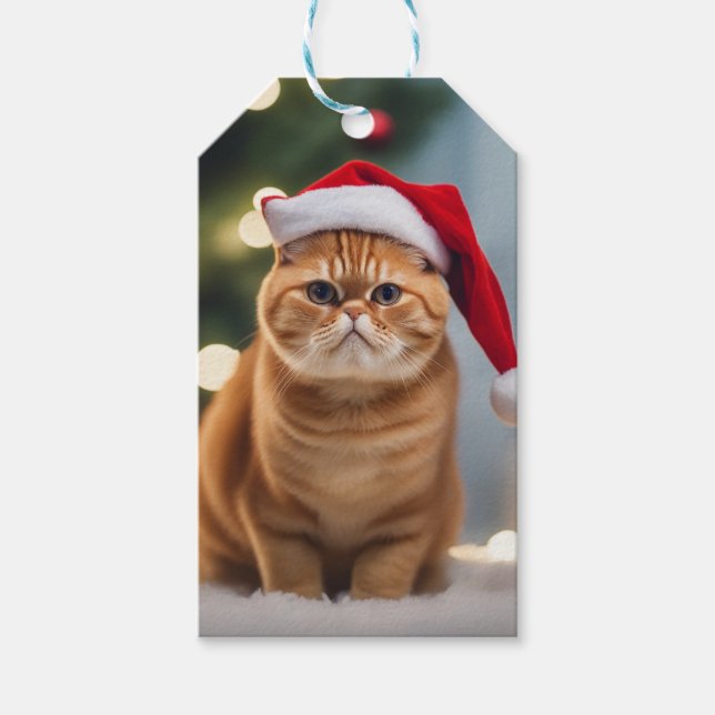 Etiqueta Para Presente Natal Exótico (Frente)