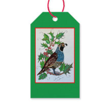 Natal Holly Quail