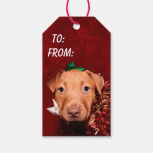 Etiqueta Para Presente Natal útil do filhote de cachorro