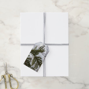 Etiqueta Para Presente Neve em Evergreen Branches Winter Nature Foto