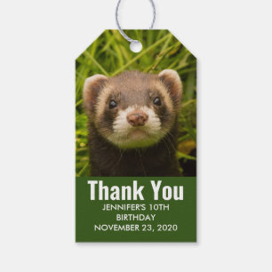 Etiqueta Para Presente O Ferret Castanho na Grama Obrigado Aniversário