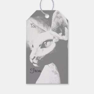Etiqueta Para Presente O Gatinho Sphynx Cat Hairless Pet Black White Art