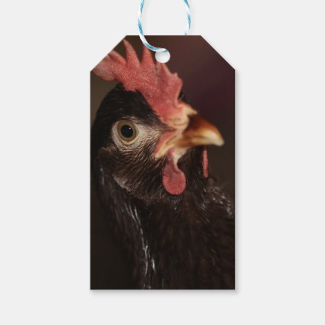 Etiqueta Para Presente O quê? (Frente)